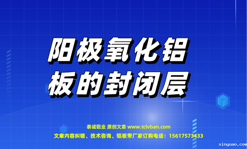 开云网页版本图片