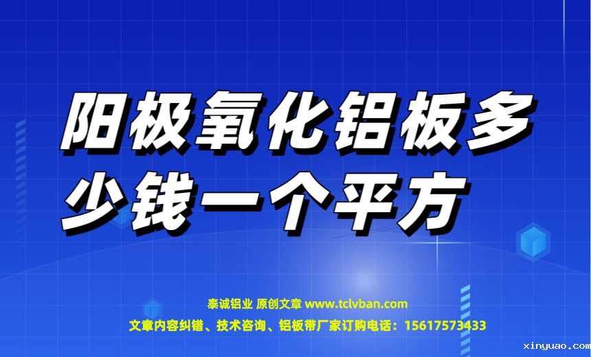 开云网页版本图片